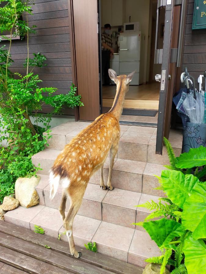 Gasthof Mini Naramachi Nara